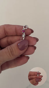 Pandora Plata . Luz