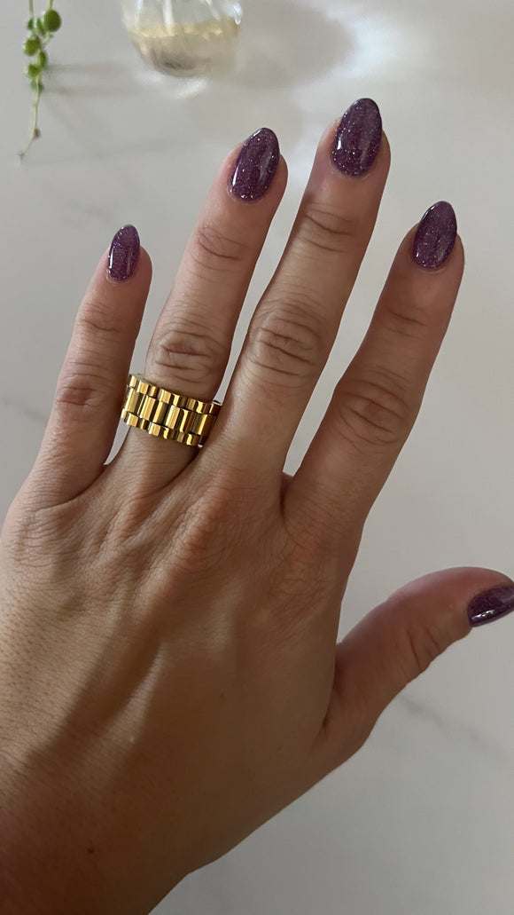Acero Premium . Anillo Bariloche