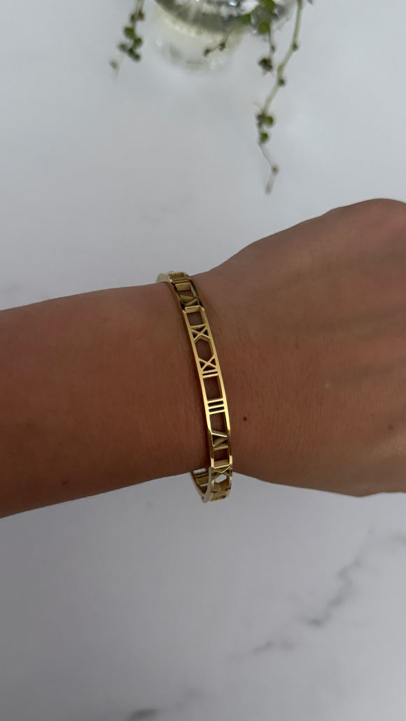 Acero Premium . Caterina