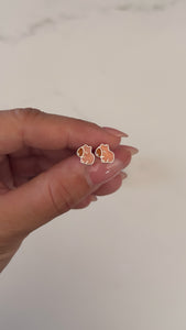 Abridores Plata 925 . Capibara