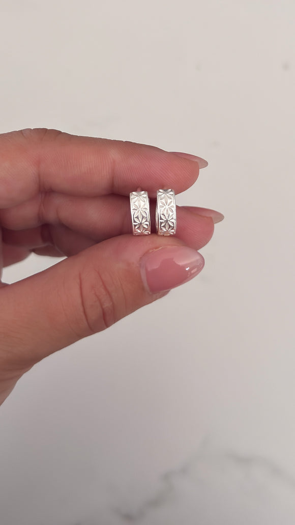 Aros Plata 925 . Tara