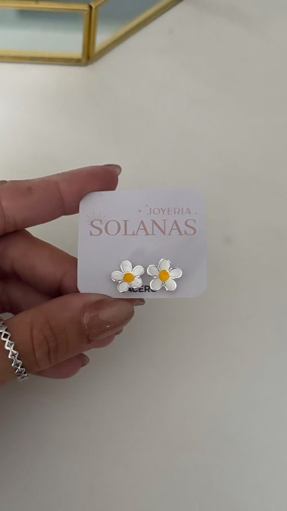 Aros Plata 925 . Thot