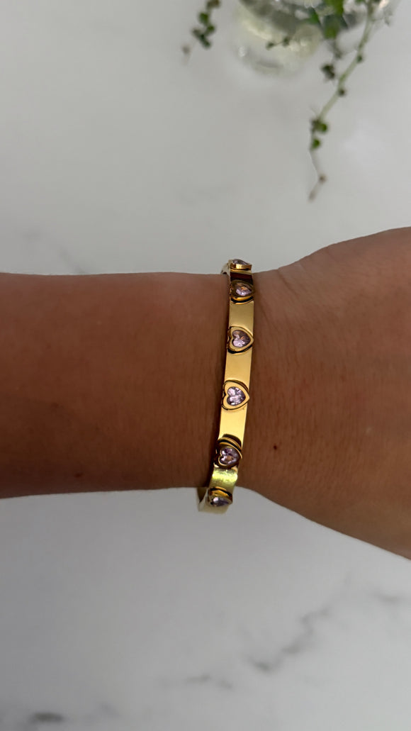 Acero Premium . Daniela
