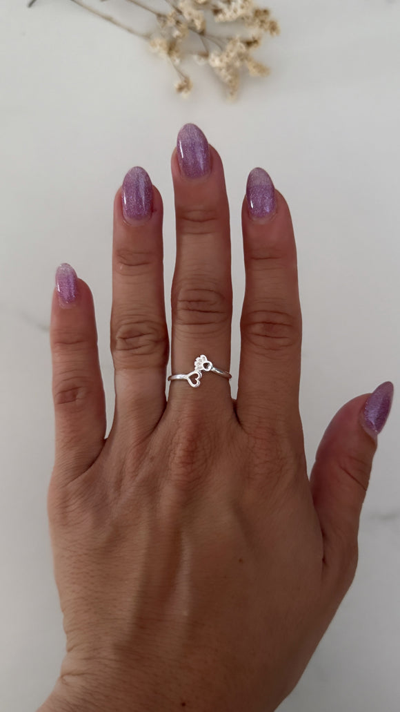 Anillo Plata 925 . Escondido