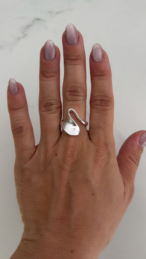 Anillo Acero Blanco . Eva