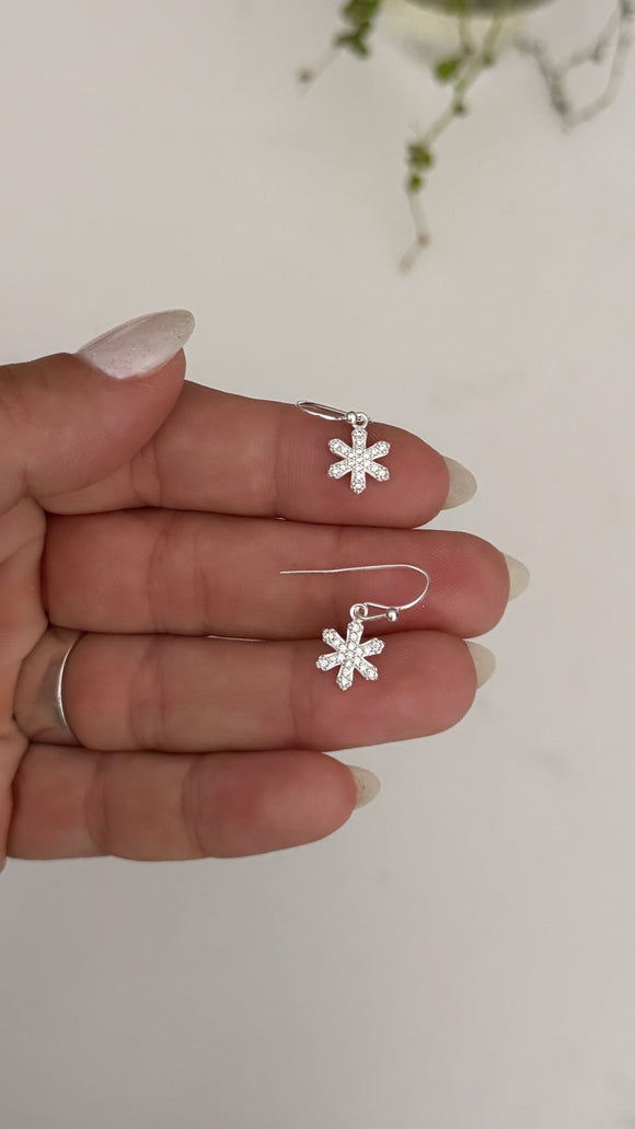 Aros Plata 925 . malina