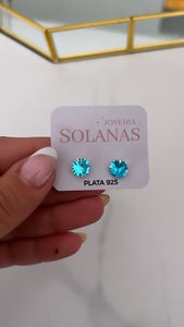 Aros Plata 925 . Palmira N°5